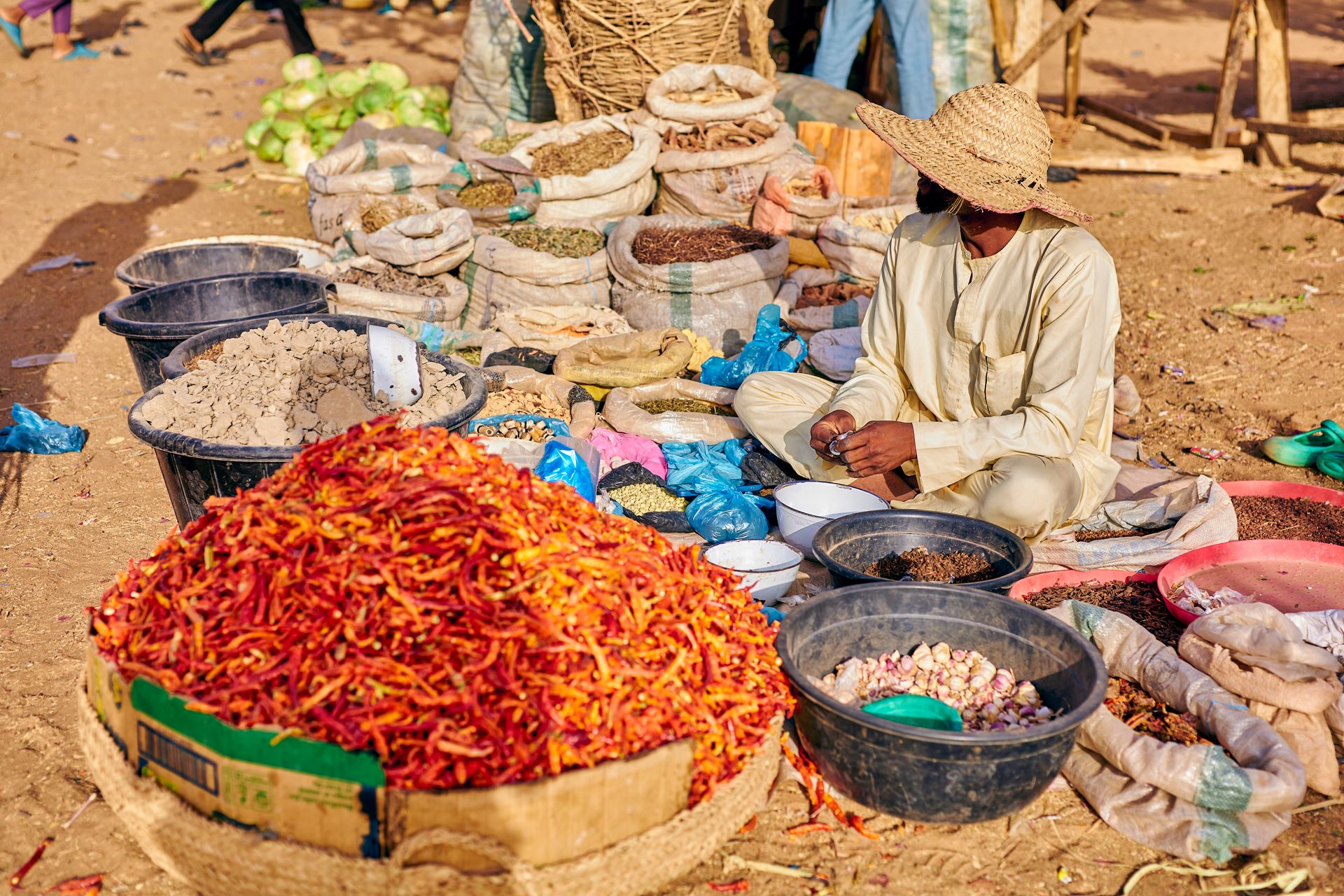 A market vendor in Nigeria surrounded by baskets of dried chillies and spices